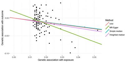 Educational Attainment and Ischemic Stroke: A Mendelian Randomization Study